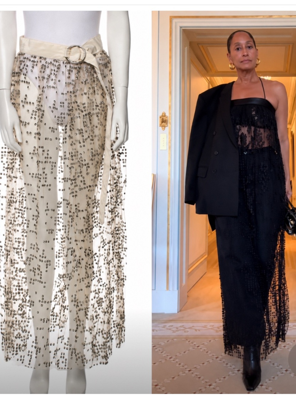 Rachel Comey Sheer Sequin Overlay Skirt / Dress Panel in Ivory